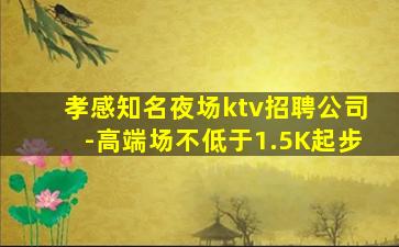 孝感知名夜场ktv招聘公司-高端场不低于1.5K起步
